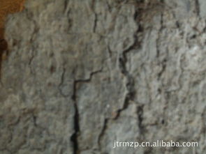 廣西百色市金騰軟木制品廠 專業(yè)制造優(yōu)質軟木制品